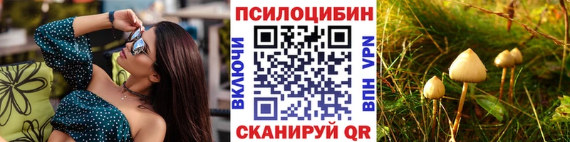 дарнет шоп  ОМГ ОМГ онион  Псилоцибиновые грибы ЛСД  Мосальск 