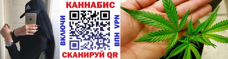 Бошки марихуана Amnesia  продажа наркотиков  Мосальск 